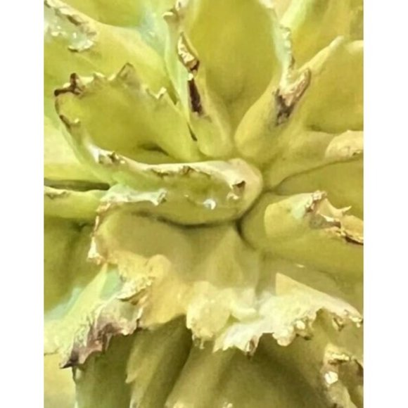 Royal Adderley England Floral Bone China Mini Flower Figurine Porcelain Bouquet - Picture 5 of 7